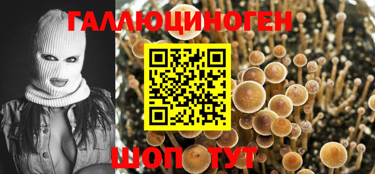 Галлюциногенные грибы MAGIC MUSHROOMS  Вход с VPN  Галлюциногенные грибы GOLDEN TEACHER  Уфа 