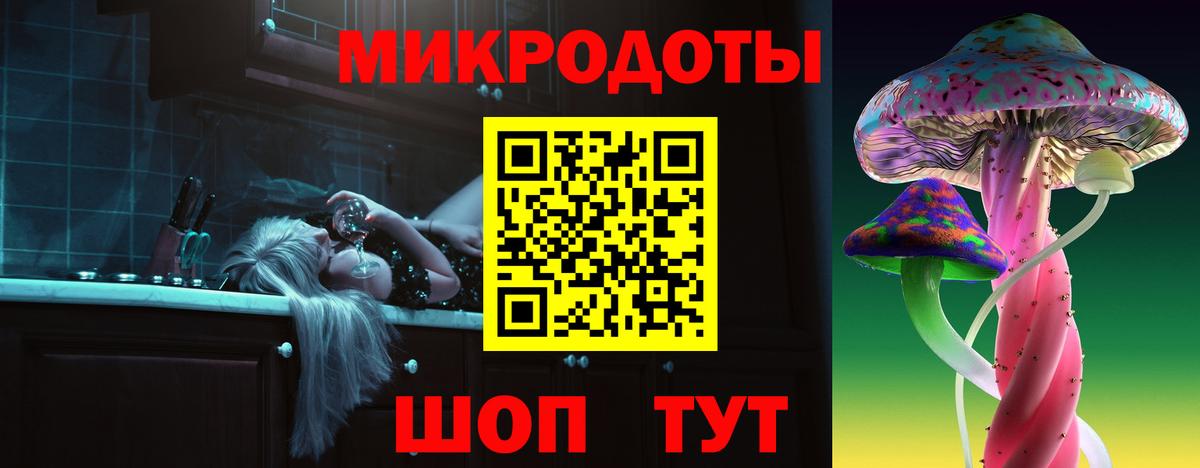 Галлюциногенные грибы Psilocybine cubensis Уфа